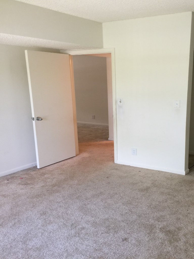 Photo by Melvin Rice of Americas Movers Inc. - Large