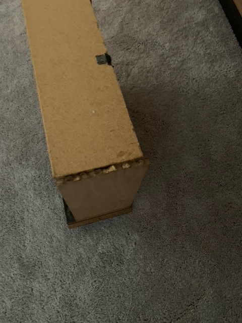 Second photo by Alexus Thomas of Jaguar moving - Large