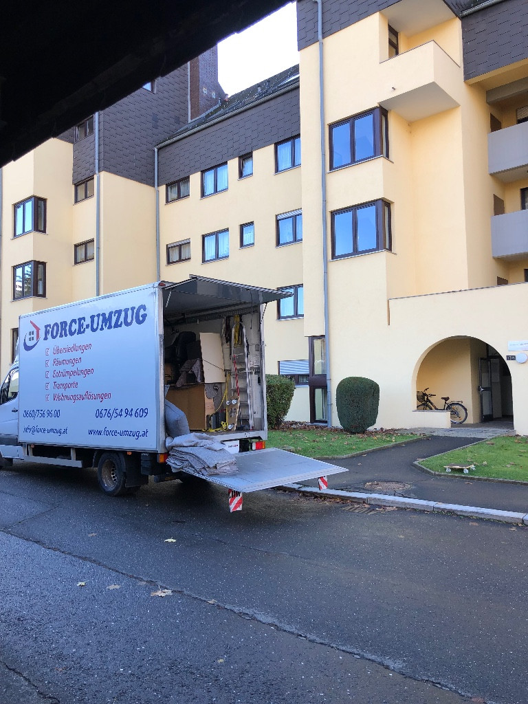 Photo by Sophie Schneider of Force-Umzug - Large