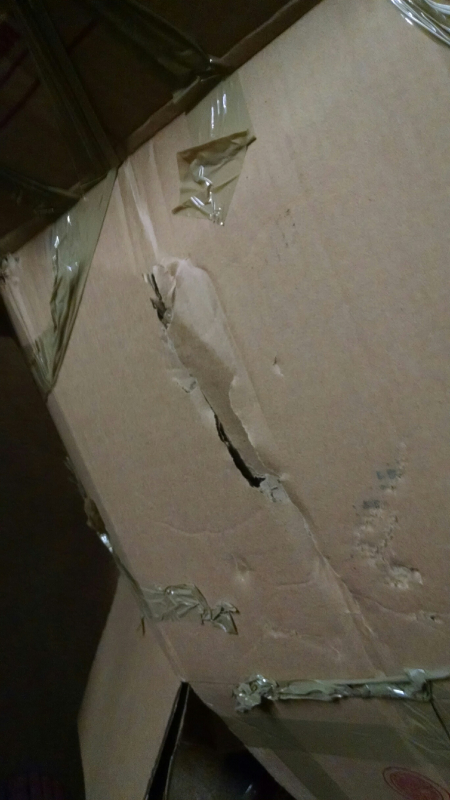 Photo by David Rudert of Rayan Van Lines - Large