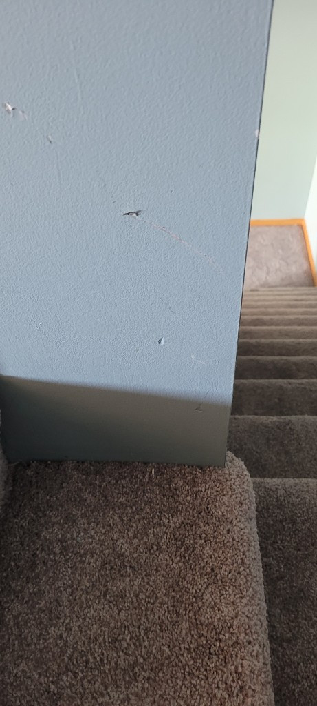 Photo by Terrance Riley of Right A-Way Movers - Large