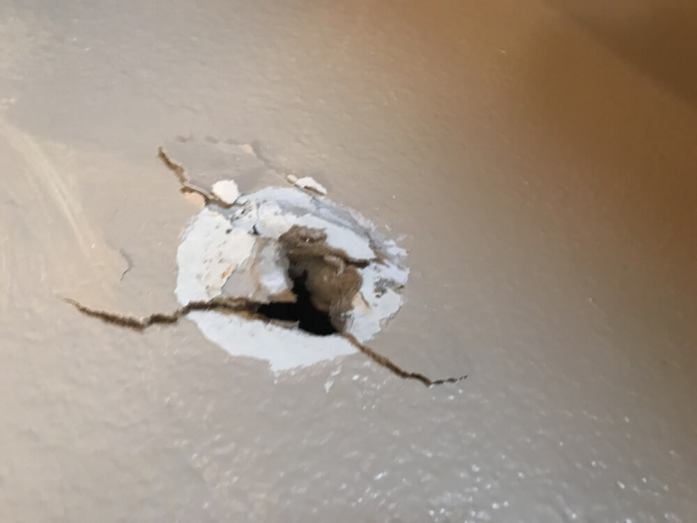 Photo by Tameka of JoChas Moving & Delivery - Large