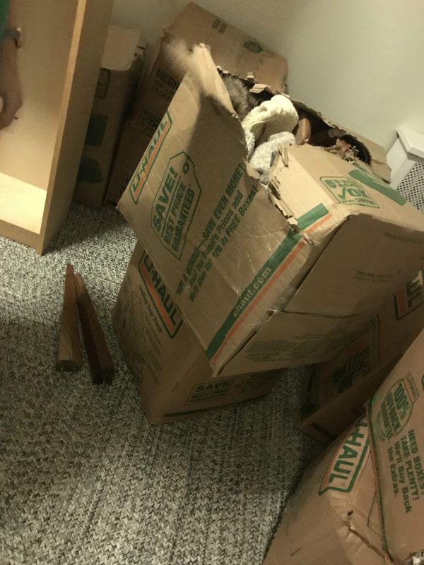 Second photo by Saebra of We Move U - Large