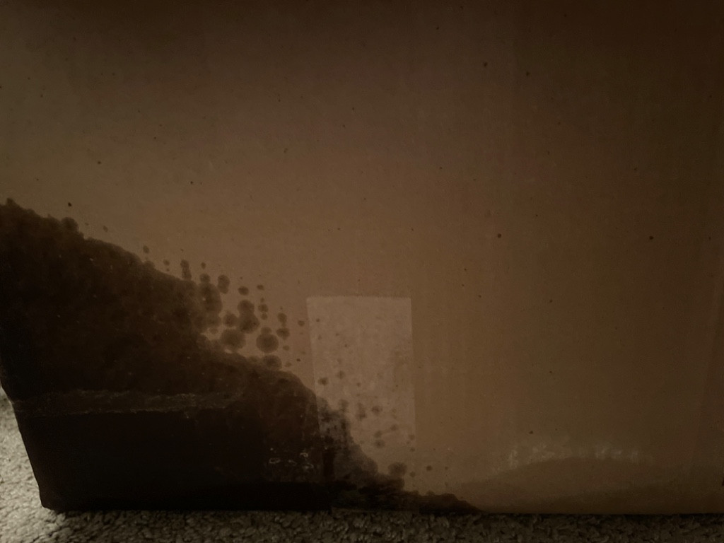 Second photo by Mad Cat of Dumbo Moving and Storage - Large