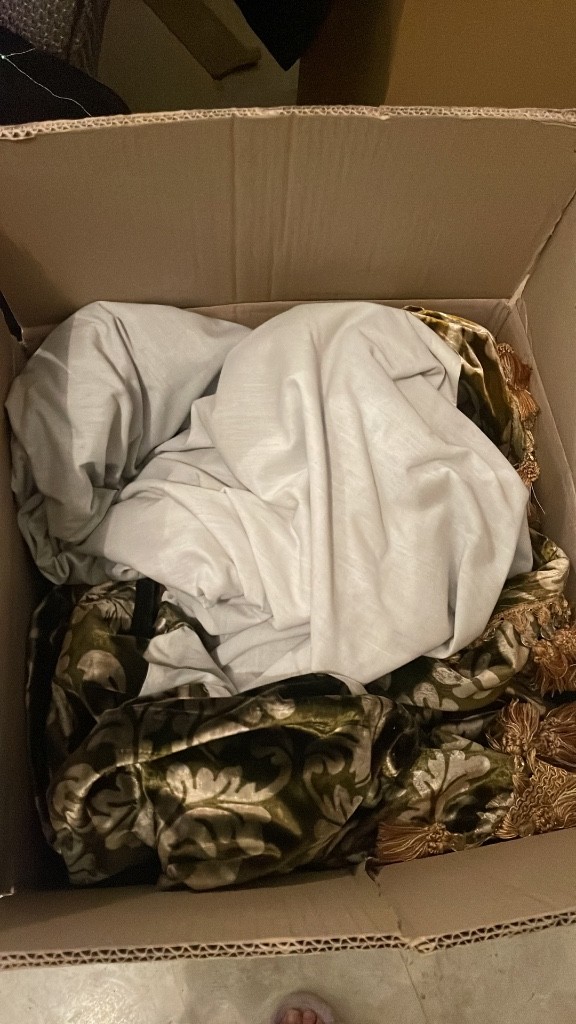 Photo by Noorhan Khaddam of Movonics - Large