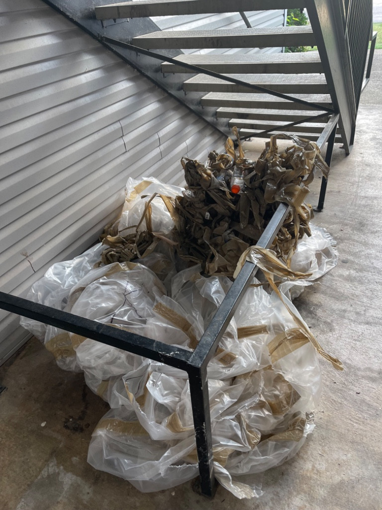 Photo by Blake Litteral of Nationwide Moving Services Inc - Large