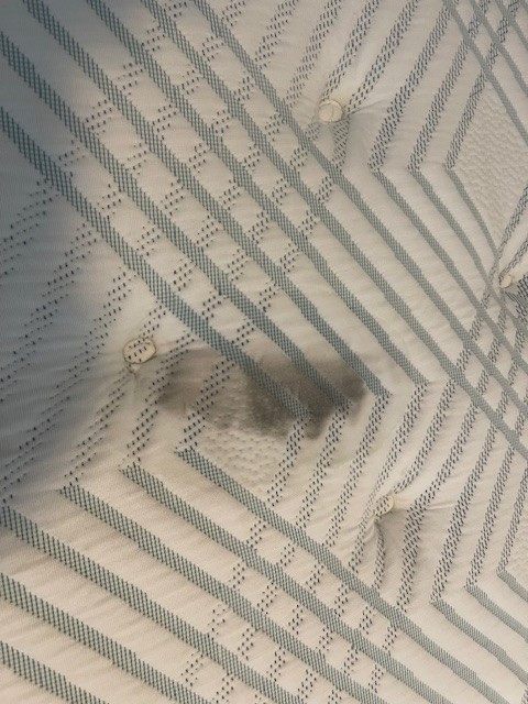 Photo by Anthony Everhart of Southern Elite Van Lines - Large