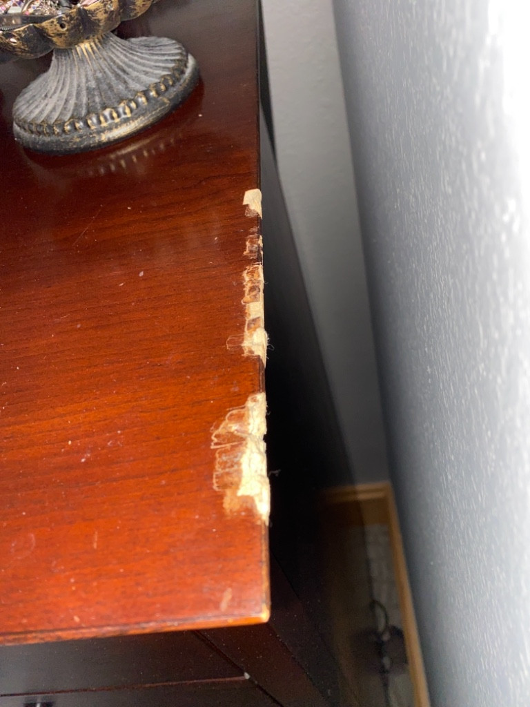 Photo by Kathy Toureene of SpeedyMen - Large