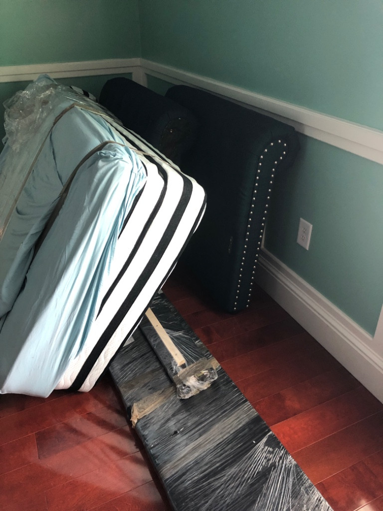 Photo by Daenisha Fernandez of Dumbo Moving and Storage - Large