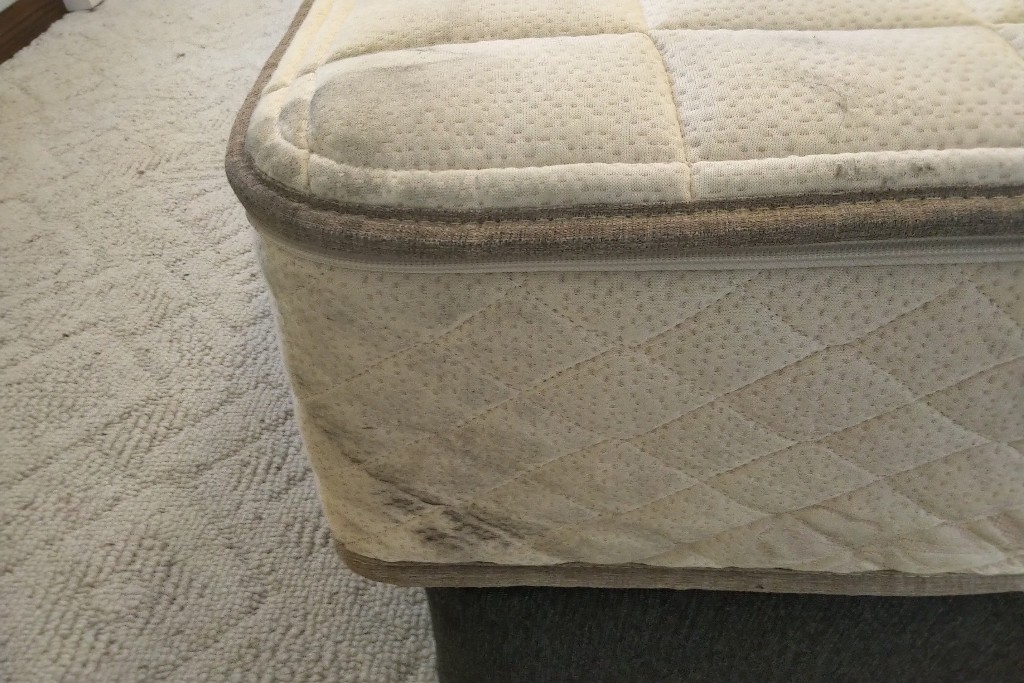 Photo by Nicc Ribb of Kentuckiana Moving LLC - Large