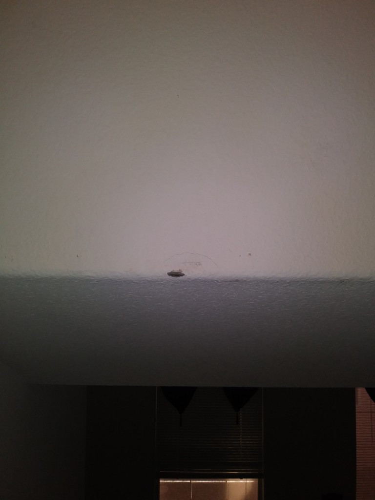 Photo by Kathy Moore of College Hunks Hauling Junk & Moving - Large