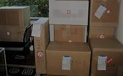 Photo by Steph of Charter Van Lines Inc. - Large