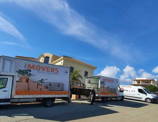 Photo by Georgia Serban of TPC Movers - Large