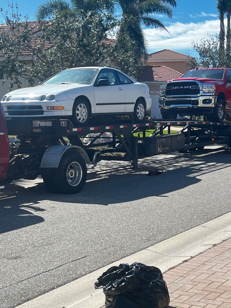 Photo by Luz Rodriguez of Safeeds Transport Inc - Large