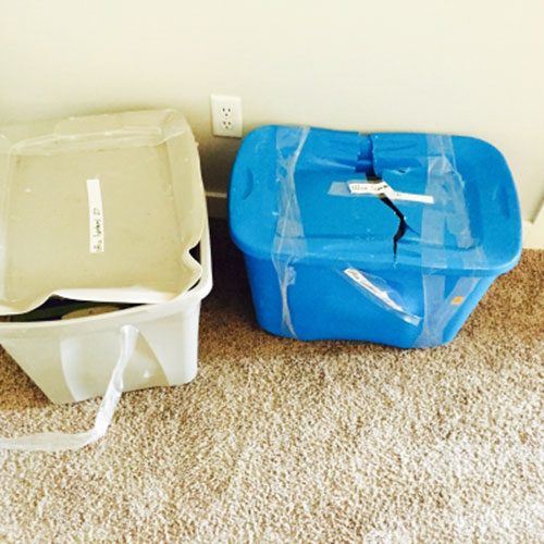 Photo by Megan  of East Coast Moving & Storage - Large