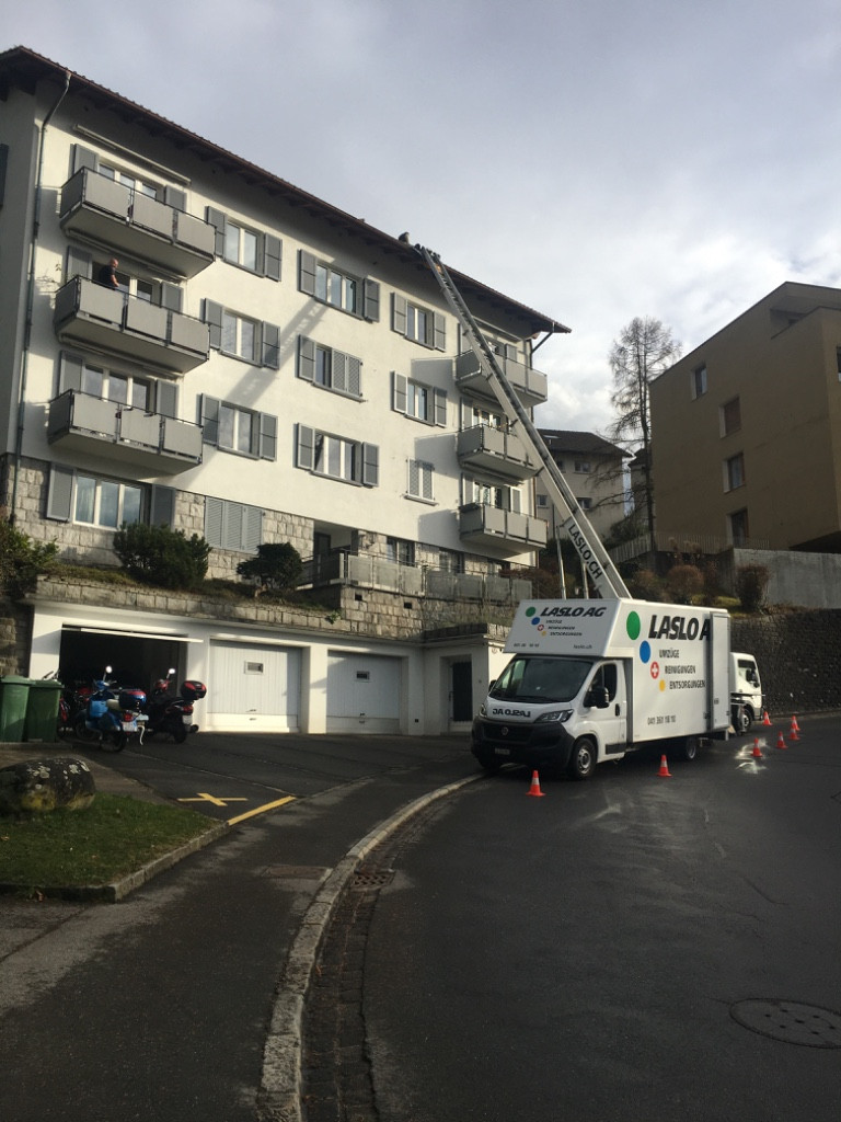 Photo by Susanne Baumann of Laslo - Large