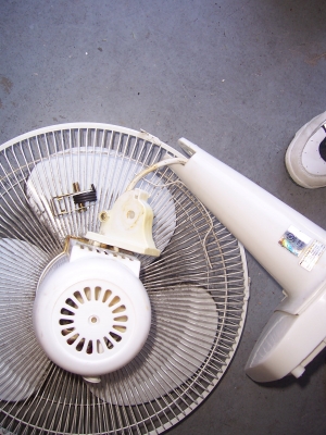 Photo by Barry L of Ray The Mover - Large