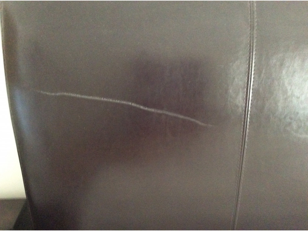 Photo by Carol Barac of Adelaide Star Removals - Large