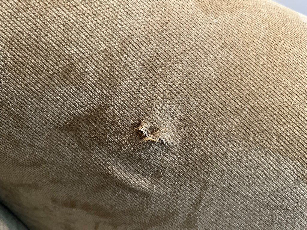 Second photo by Roshanda Odom of All Mighty Movers - Large