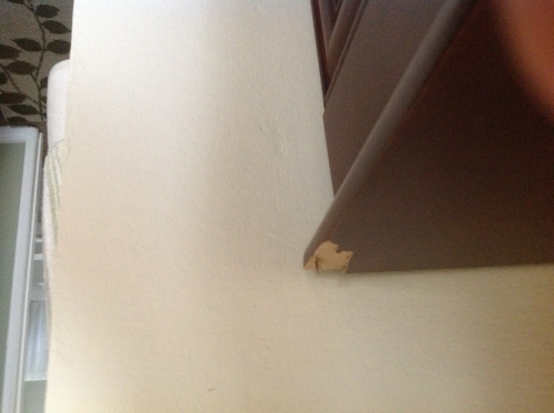 Photo by Deborahthayer of Starving Students - Large