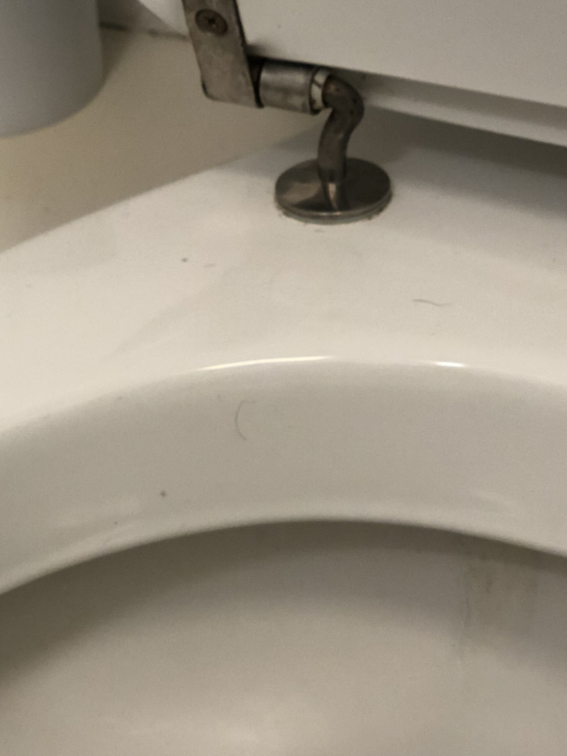 Photo by Azim of Best Rate Removals Ltd - Large