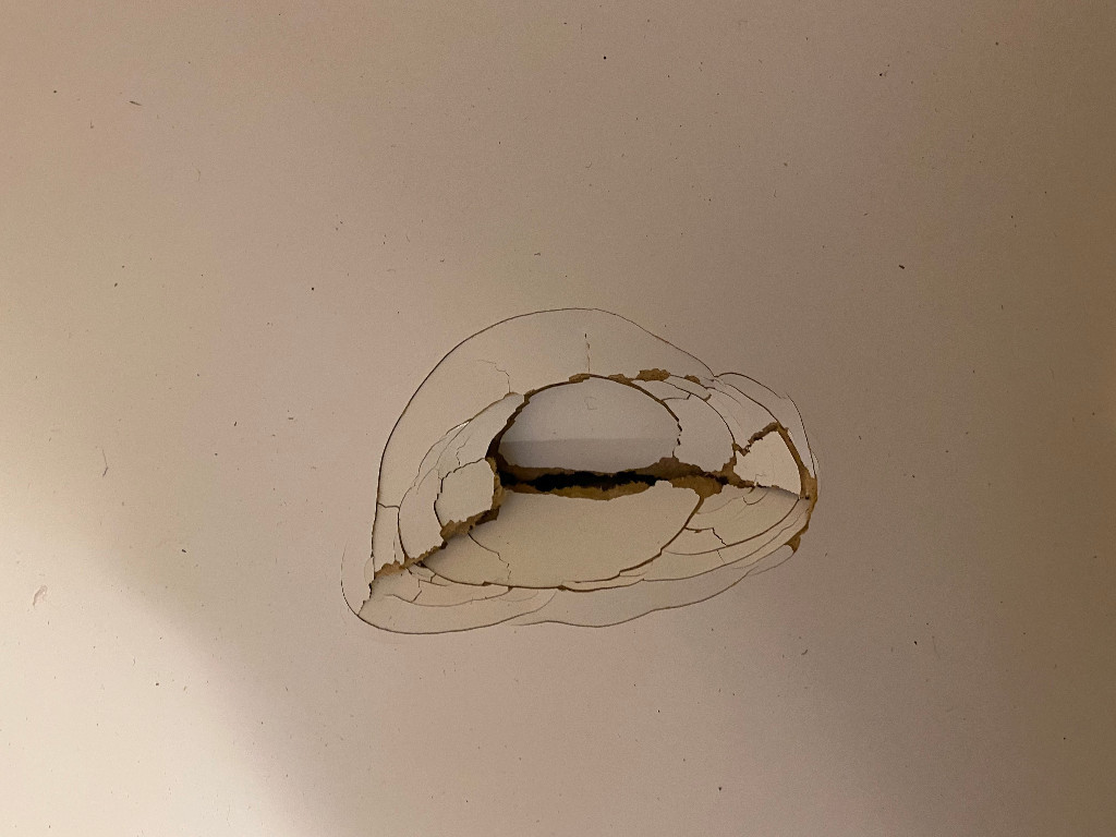 Photo by Lou Henry of Alliance Van Lines inc. - Large