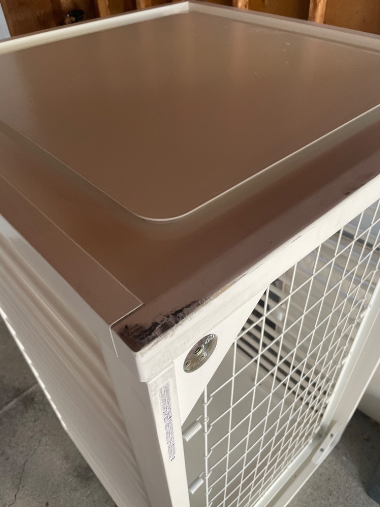 Second photo by Sylvia Gonzalez of Trans Van Lines - Large