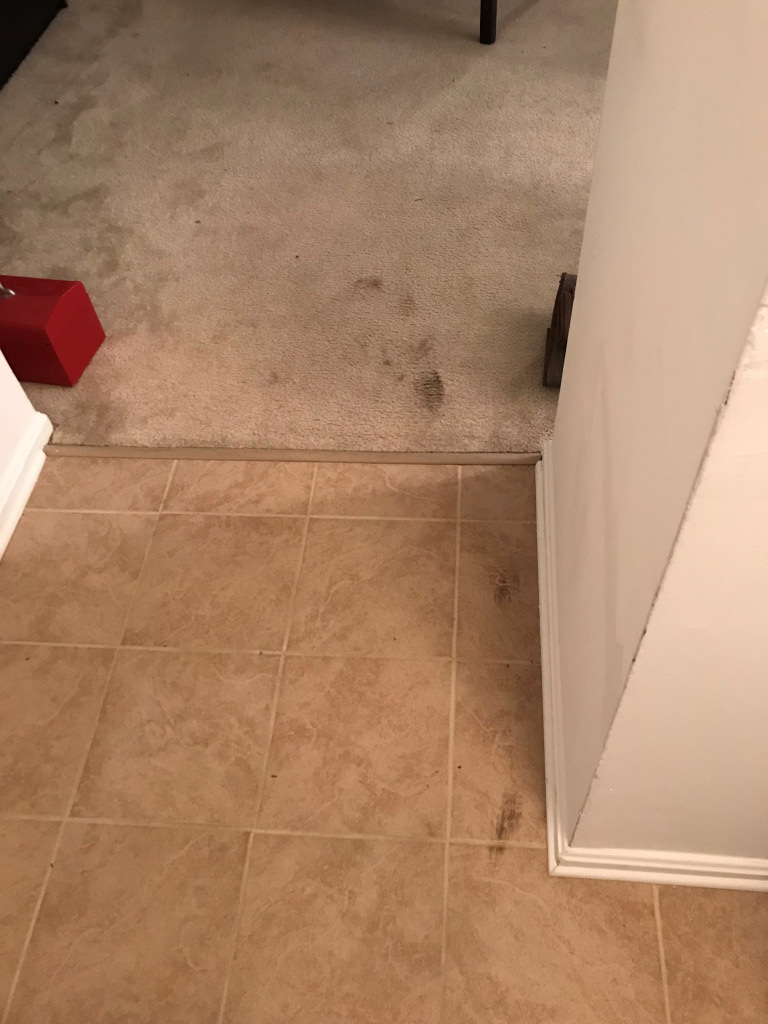 Photo by Will of A1A Moving and Storage - Large