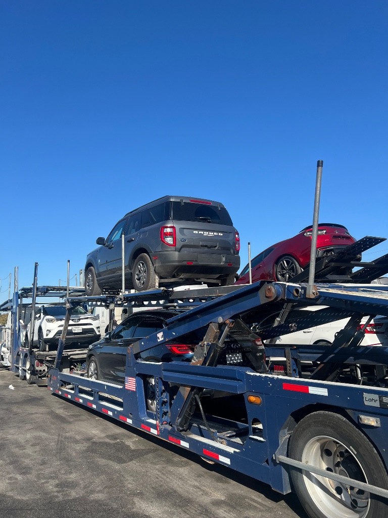 Second photo by Mohamed Ezzelarab of Auto Freight Carriers LLC - Large