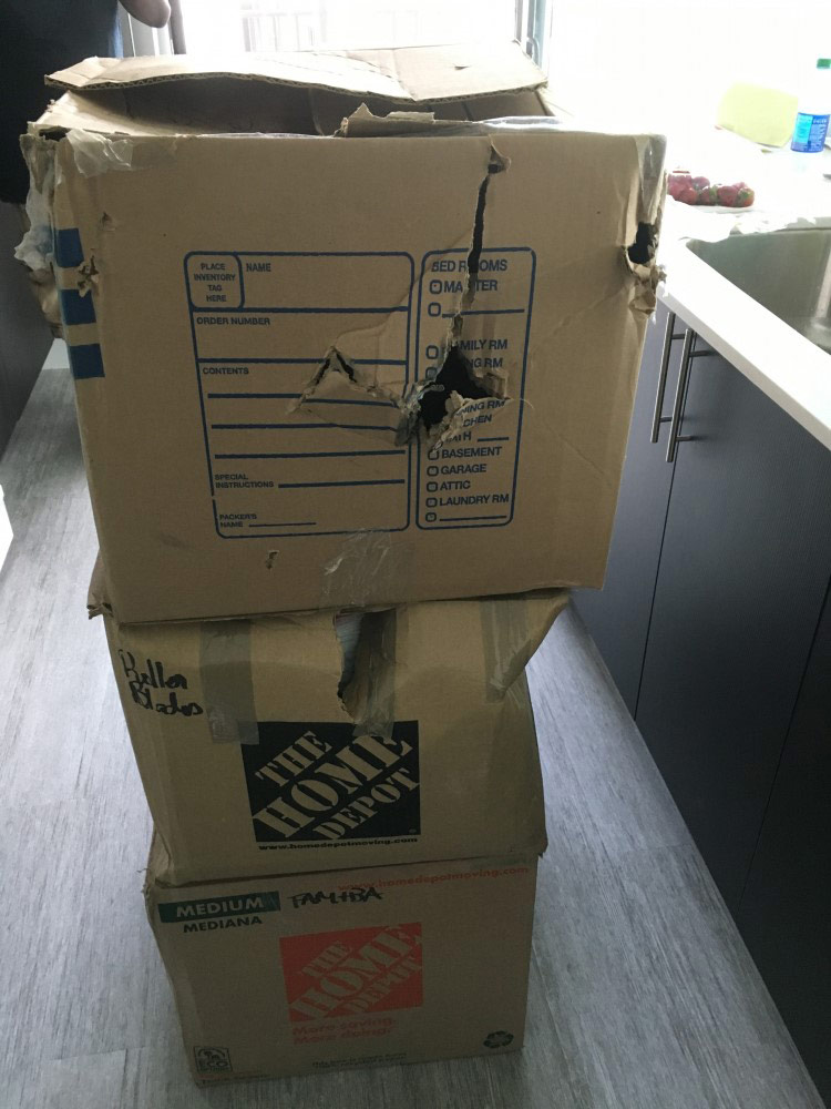 Photo by Roxanne of Touch of Class Movers - Large