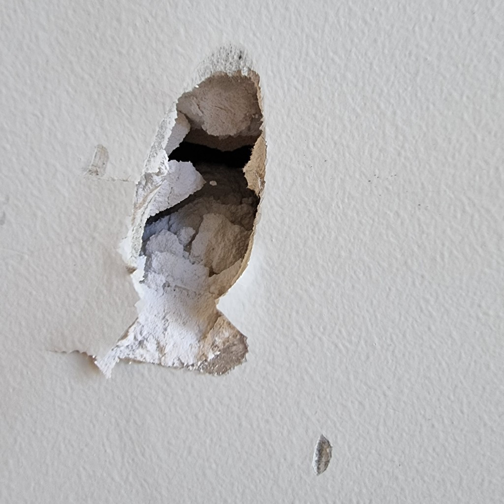 Photo by John Quint of Ace Movers Pty Ltd - Large