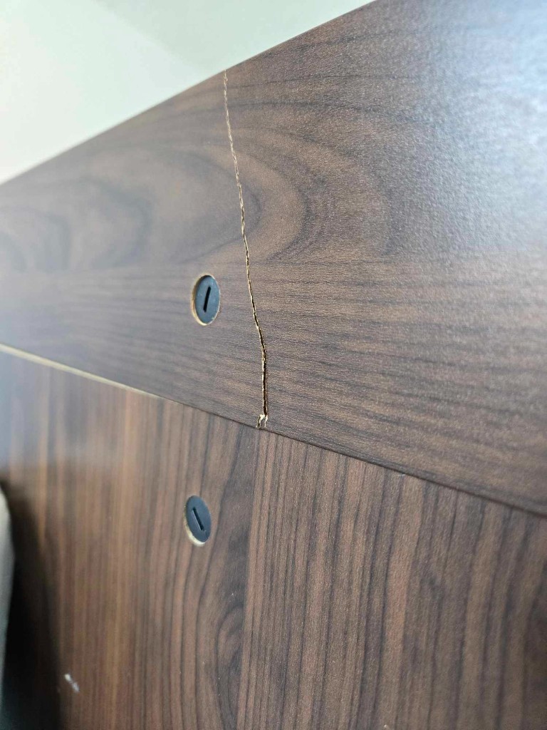 Second photo by Efigenia Dalanon of Pegasus Vanlines  - Large