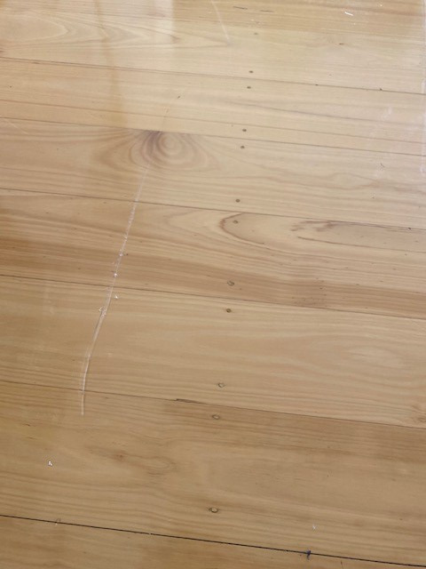 Photo by Lilith Su of CBD Movers AU - Large