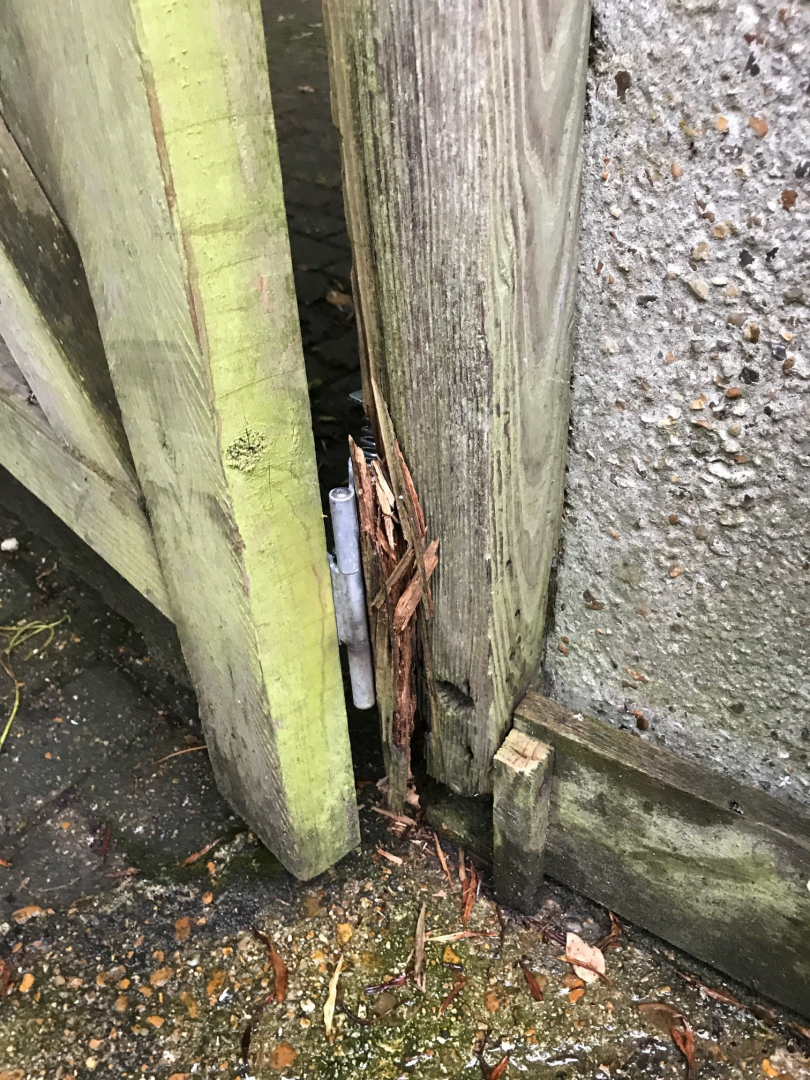 Second photo by Ames of AnyVan - Large