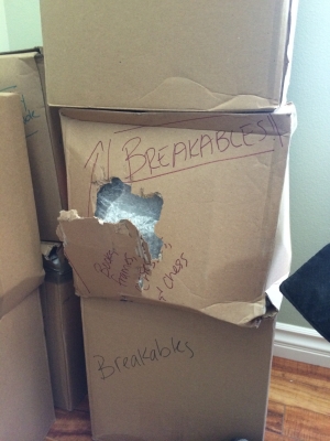 Photo by Christina of Enterprise Van Lines - Large