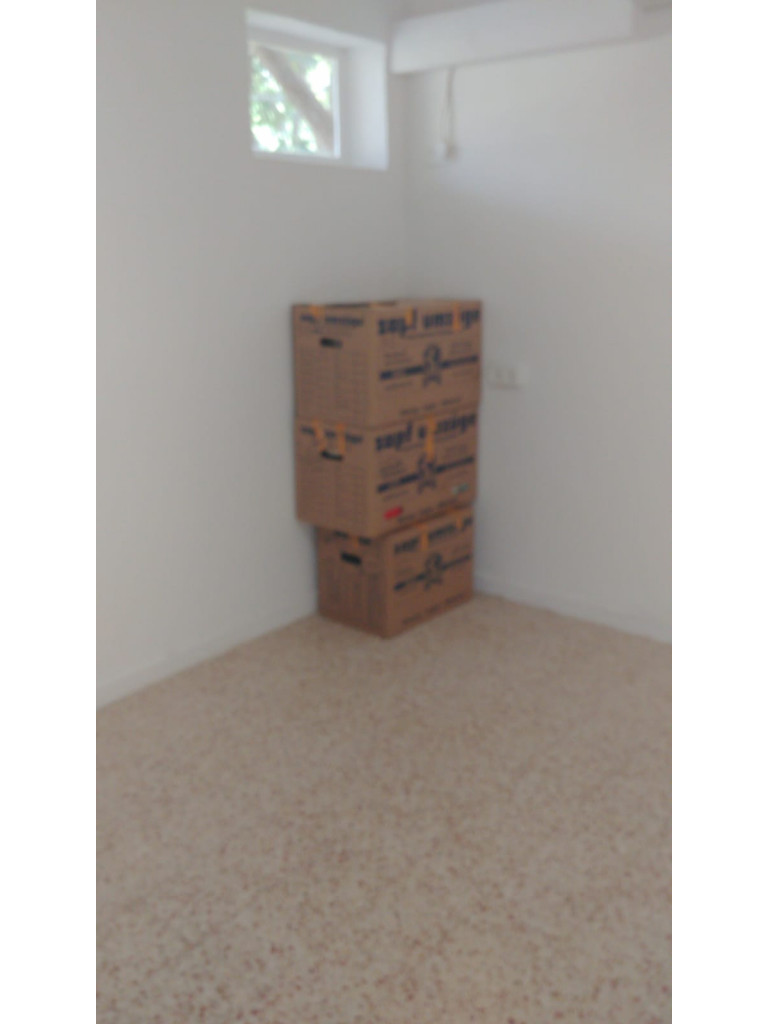 Second photo by Ilan C Reisin of Sonigo - Large