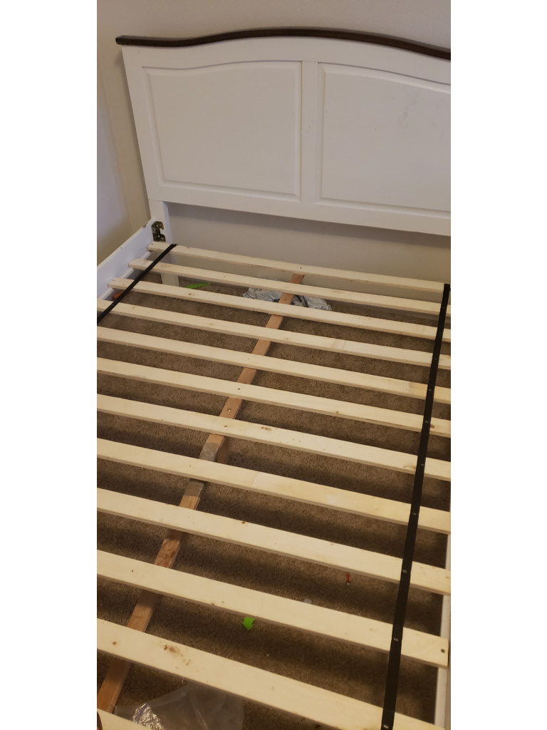 Photo by Hackney of Ocean Moving & Storage - Large