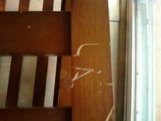 Photo by Vic of Olympia Moving & Storage Inc. - Large