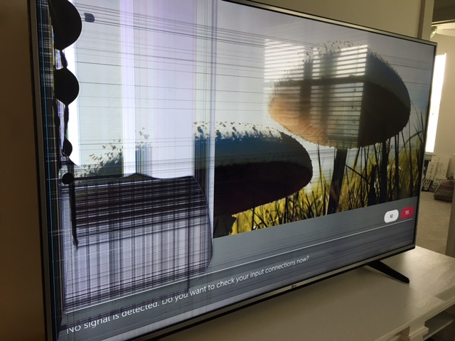 Photo by Wilma Rivera of Strongman Movers - Large