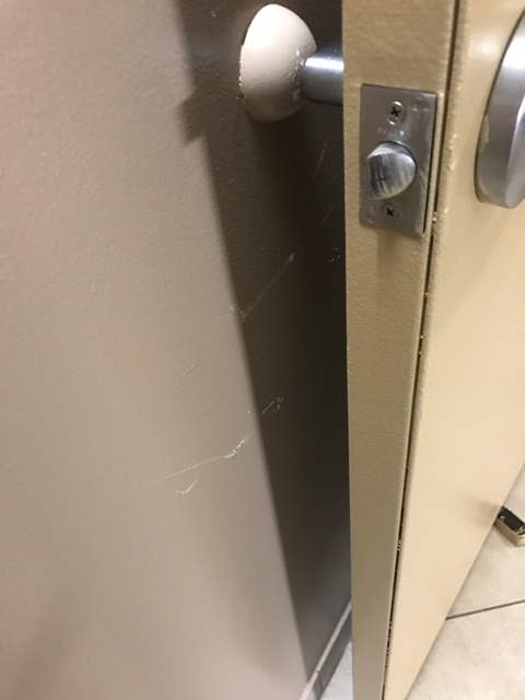 Photo by Elvia Cabrera of Great American Van Lines - Large