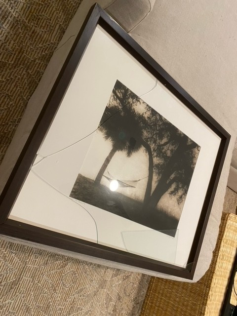 Second photo by Haleigh Mccarthy of USA Logistics Moving - Large