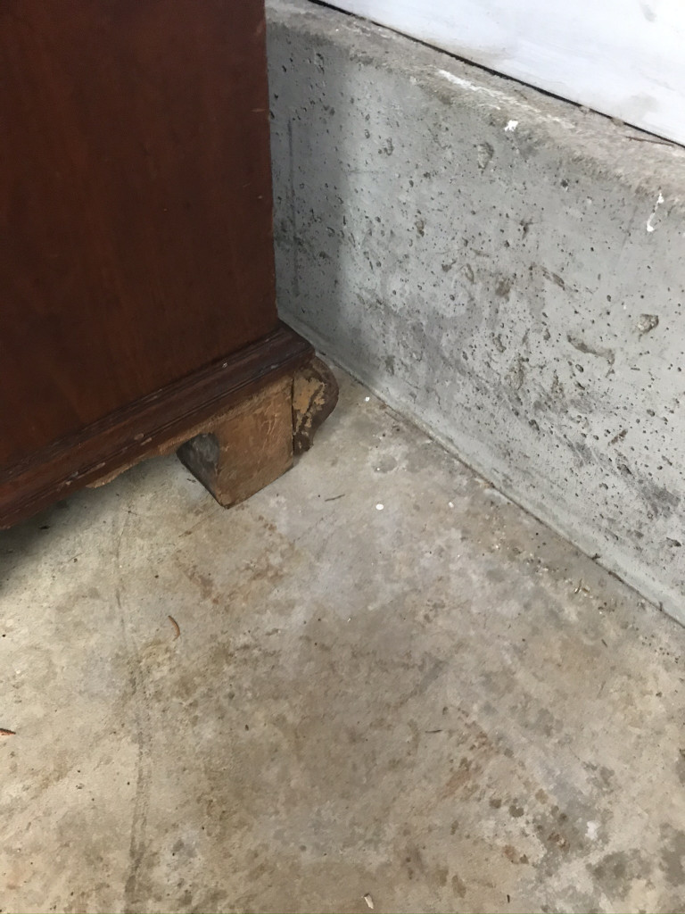 Second photo by Stacy Declerque of Trinity Van Lines - Large