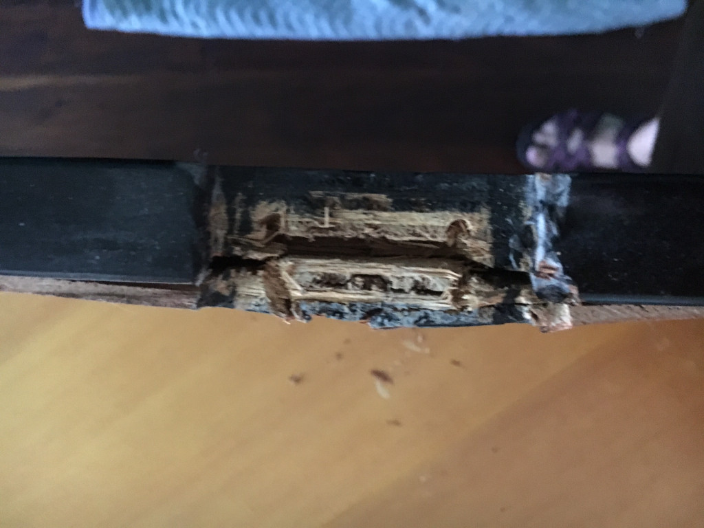 Photo by Barbara Hudson of Unique Van Lines - Large