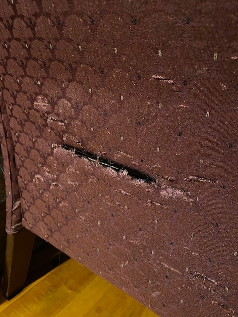 Second photo by Justin W Green of Jackson Movers - Large