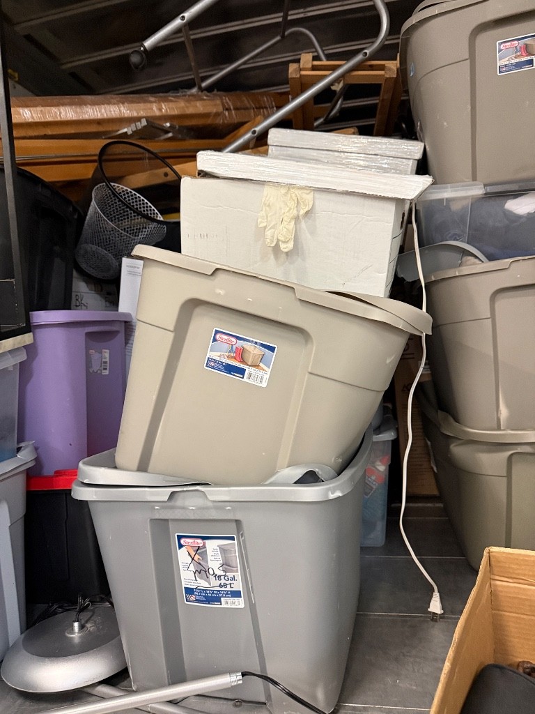 Photo by Yvonne Robles of Rushmore Vanlines - Large