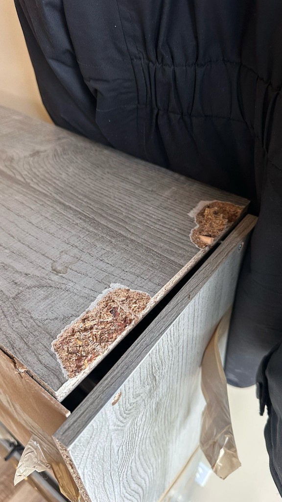 Photo by Douglas E Contreras R of Pegasus Vanlines  - Large