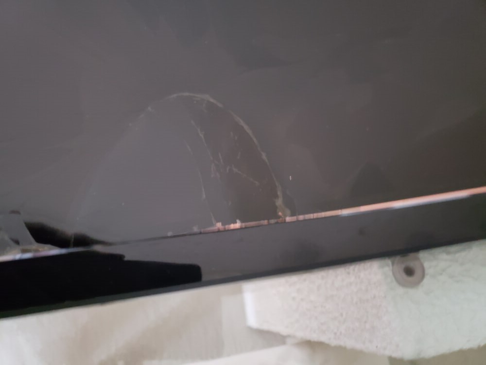 Photo by Tori Hollingsworth of EZ Movers - Large