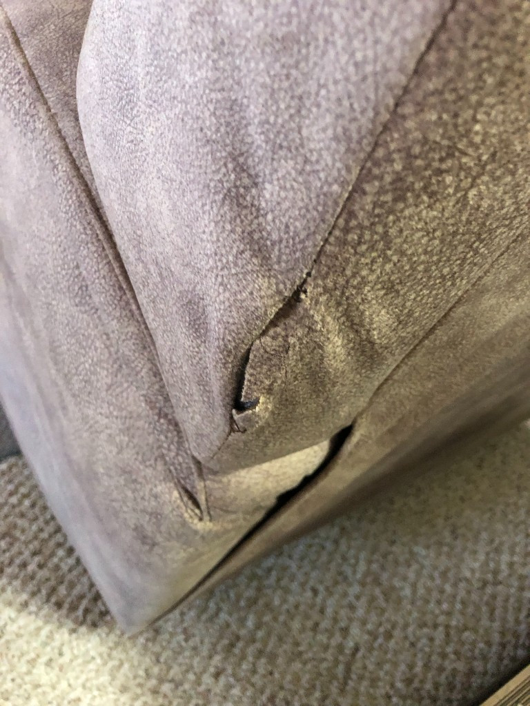 Second photo by Jeff Novak of Premier Relocations - Large