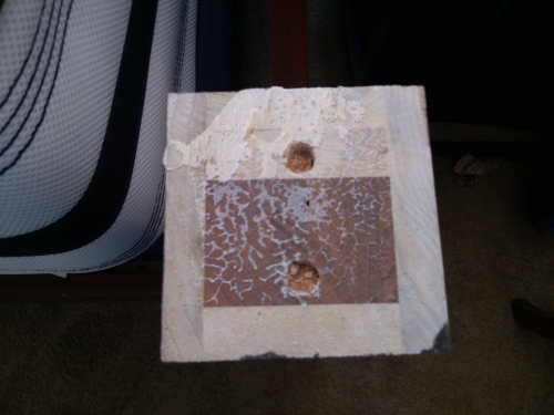 Photo by Richard Osgerby of Social Moving Group - Large