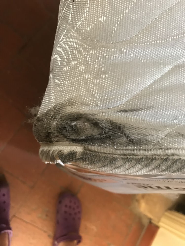 Photo by Paul of European Moving - Large